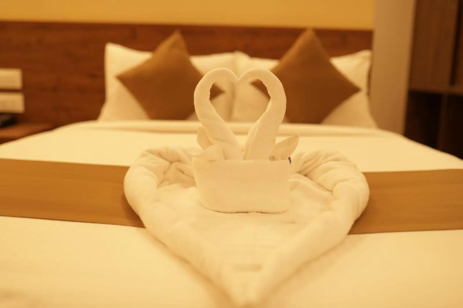 Hotel Gemars Infinity,Mysore 3*, Mysore India